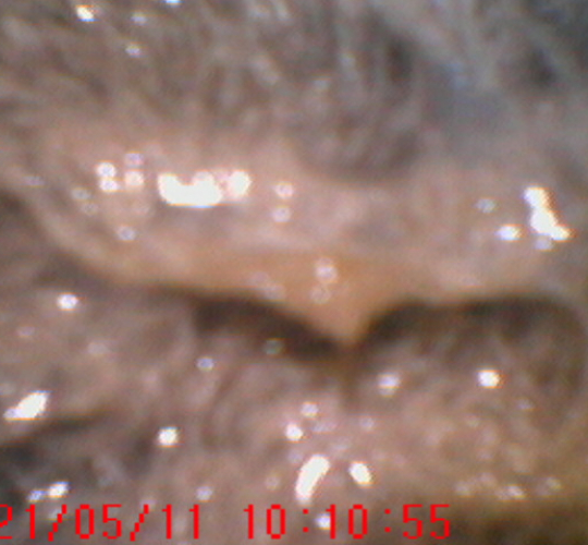 Tubo incrustado antes da lavagem química - visualização com boroscópio