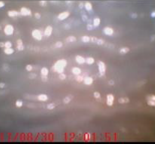 Tubo incrustado antes da lavagem química - visualização com boroscópio 